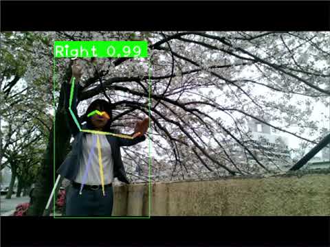 挙げている手デモ動画案②